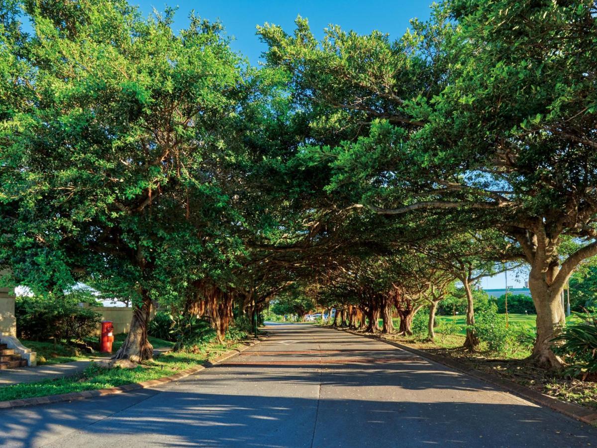 ホテル日航アリビラ 読谷村 エクステリア 写真 The Avenue of the Oaks
